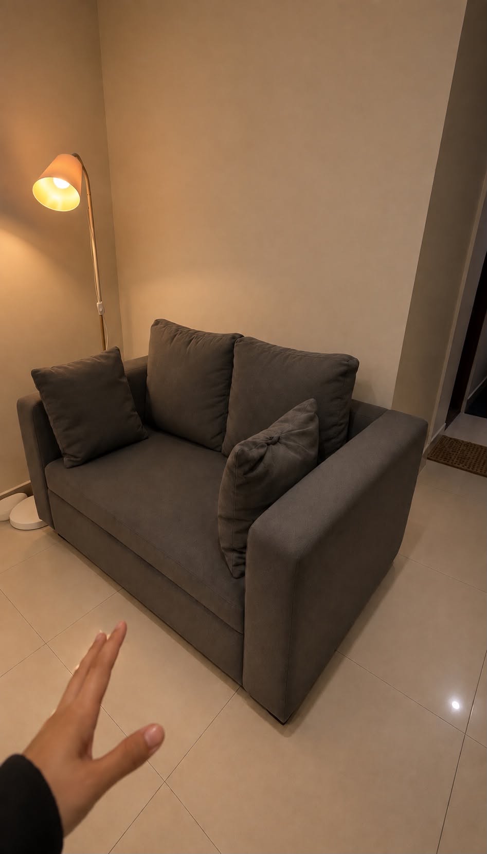 Sofa bed under a floor lamp in the living area